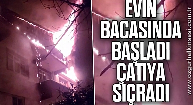 Evin bacasında başlayan yangın çatıya sıçradı