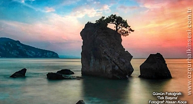 Günün Fotoğrafı...