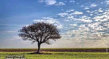 Günün Fotoğrafı...
