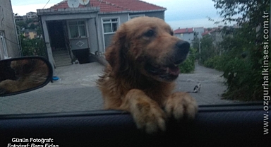 Günün Fotoğrafı...