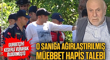 Gurbetçiyi keserle vurarak öldürmüştü: O sanığa ağırlaştırılmış müebbet hapis talebi