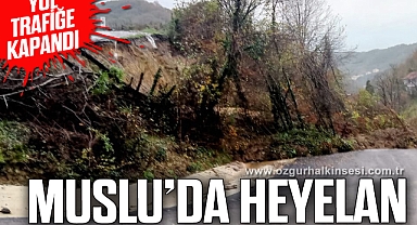 Heyelan yolu ulaşıma kapattı
