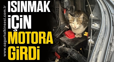ISINMAK İÇİN MOTORA GİRDİ
