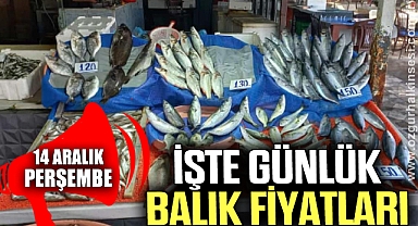 İŞTE GÜNLÜK BALIK FİYATLARI