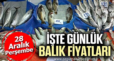 İŞTE GÜNLÜK BALIK FİYATLARI