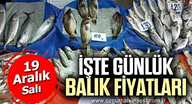 İŞTE GÜNLÜK BALIK FİYATLARI
