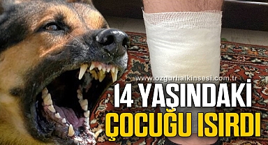 Köpeğin ısırdığı 14 yaşındaki çocuk yaralandı