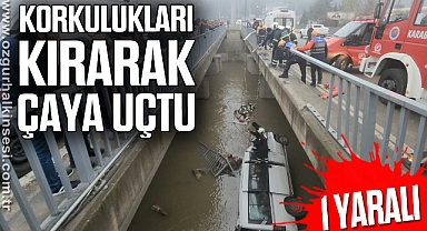 Korkuluklarını kırarak çaya uçtu: 1 yaralı