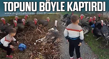 Küçük çocuğun hindilerle mücadelesi tebessüm ettirdi