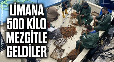 Limana 500 kilo mezgitle geldiler