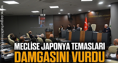 Meclise Japonya temasları damgasını vurdu