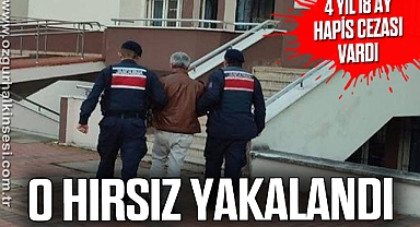 O hırsız yakalandı