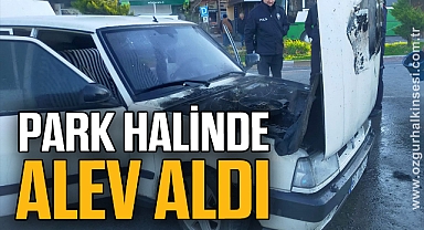 Park halinde alev aldı