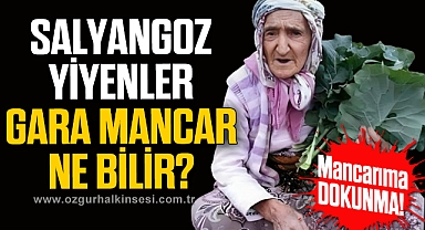 SALYANGOZ YİYENLER GARA MANCAR NE BİLİR?