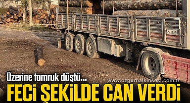 Üzerine tomruk düşen sürücü hayatını kaybetti