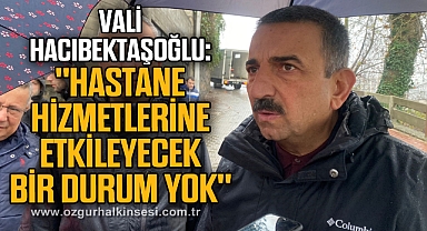 Vali Hacıbektaşoğlu,