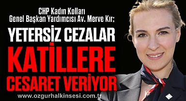 YETERSİZ CEZALAR KATİLLERE CESARET VERİYOR