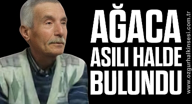 Ağaca asılı halde bulundu