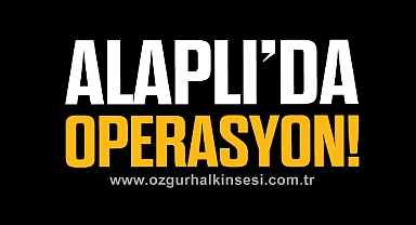 ALAPLI'DA OPERASYON!