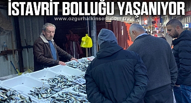 Balık tezgahlarında istavrit bolluğu yaşanıyor
