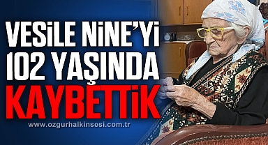 DEVREK’İN KOCA ÇINARI YIKILDI