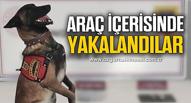 DEVREK'TE OPERASYON