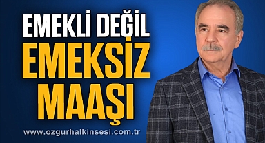 EMEKLİ DEĞİL EMEKSİZ MAAŞI