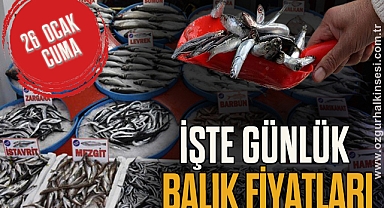 GÜNLÜK BALIK FİYATLARI