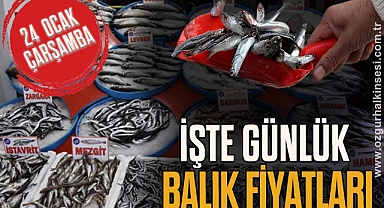 GÜNLÜK BALIK FİYATLARI
