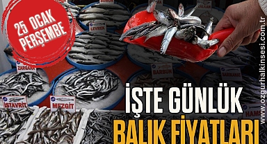 GÜNLÜK BALIK FİYATLARI