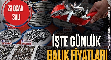 GÜNLÜK BALIK FİYATLARI