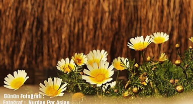 GÜNÜN FOTOĞRAFI