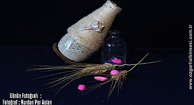 GÜNÜN FOTOĞRAFI