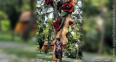 Günün Fotoğrafı...