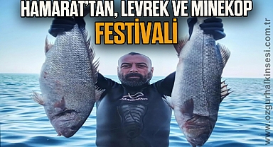 HAMARAT'TAN, LEVREK VE MİNEKOP FESTİVALİ
