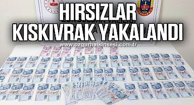 HIRSIZLAR KISKIVRAK YAKALANDI