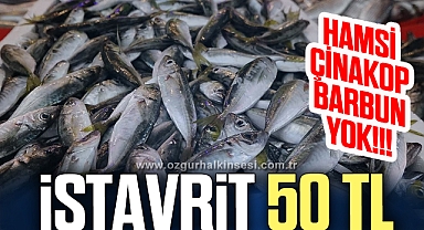 İstavrit tezgahlarda 50 liradan alıcı buldu