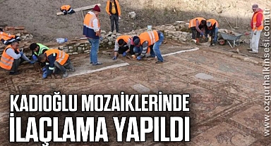 KADIOĞLU MOZAİKLERİNDE İLAÇLAMA YAPILDI