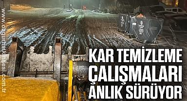 KAR TEMİZLEME ÇALIŞMALARI ANLIK SÜRÜYOR