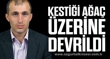 Kestiği ağaç üzerine devrilen işçi ağır yaralandı