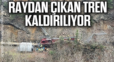 Raydan çıkan lokomotifi kaldırma çalışmaları sürüyor