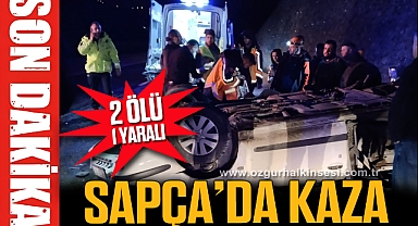 SAPÇA'DA KAZA 2 ÖLÜ 1 YARALI