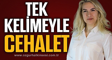 “TEK KELİMEYLE CEHALET”