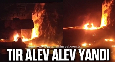 Tır dorsesi alev alev yandı