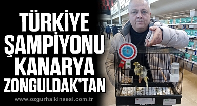 TÜRKİYE ŞAMPİYONU KANARYA ZONGULDAK’TAN