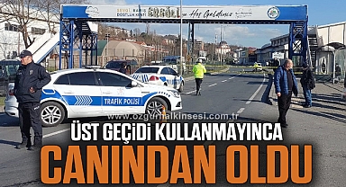 Üst geçidi kullanmayınca canından oldu