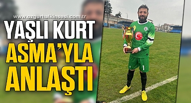 YAŞLI KURT ASMA’YLA ANLAŞTI