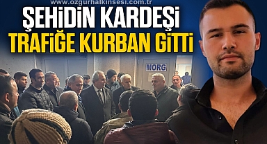 YOK BÖYLE ACI!