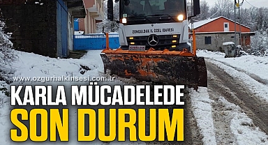Zonguldak'ta karla mücadele çalışmaları sürüyor