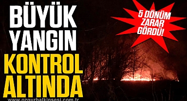 5 dönüm alanda çıkan yangın kontrol altına alındı